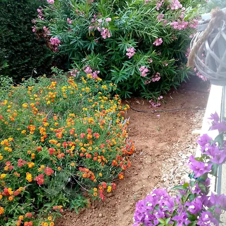 Apartment Plein Soleil